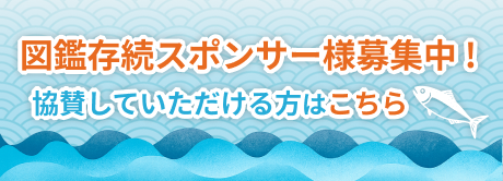 記事掲載、広告掲載、寄付に関して